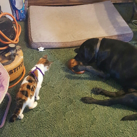 Profile Picture of Ana Bartolome (@small_person) on Poshmark