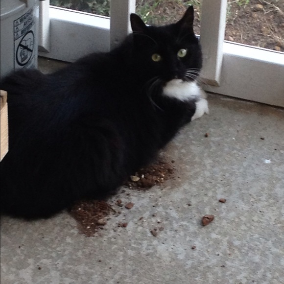 Lindsey Corkran - Poshmark Profile Picture of Lindsey Corkran (@lcork) on Poshmark