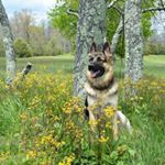 Profile Picture of Jeff Brannigan (@mineralcityphoto) on Instagram