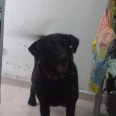 Profile Picture of Lilian (@lilian17ma) on Twitter