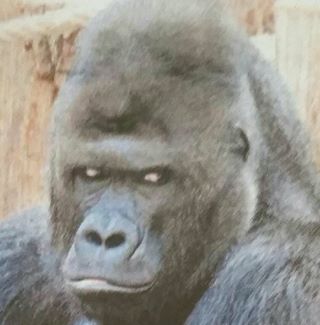 Profile Picture of Chris Rabin (Andl) (@chris.rabin.7) on Facebook