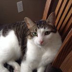 Profile Picture of Matthew Whittemore (@whit101) on Instagram