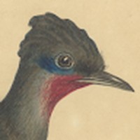 Profile Picture of James Truitt (@james-truitt-32) on Quora