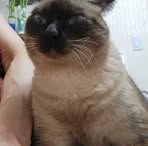 Profile Picture of 김황섭 (@김황섭) on Facebook