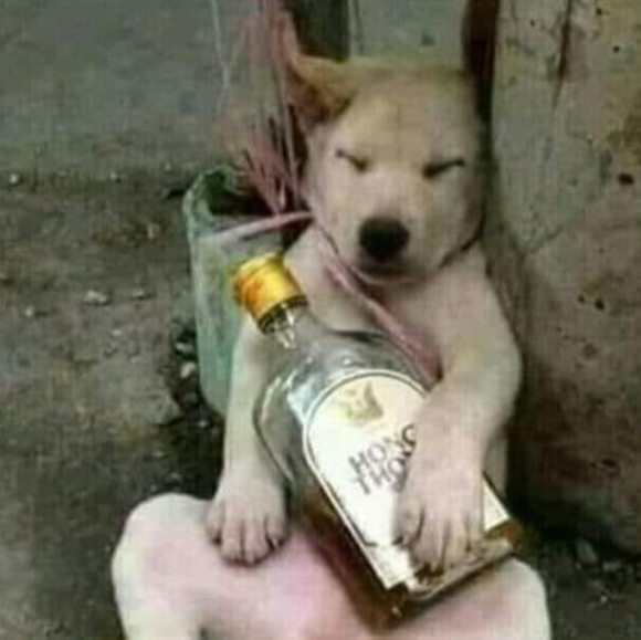 Profile Picture of Dan Peter (@dan_peter) on Poshmark