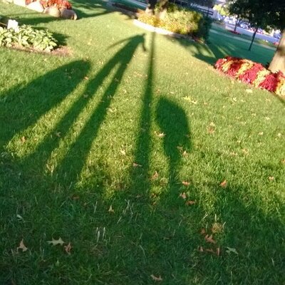 Profile Picture of Lightnin' Bug Murphy (@murphyback) on Twitter