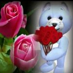 Profile Picture of 🌎💕✌🏼🐮🌱 (@nicoledufour) on Instagram