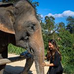 Katelyn Kovach - Instagram Profile Picture of Katelyn Kovach (@katelyn__kovach) on Instagram