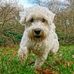 Profile Picture of Peter Topping (@Peter-Topping) on Facebook