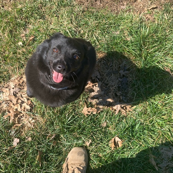 Profile Picture of James Morley (@podunktown) on Poshmark