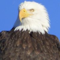 Profile Picture of Brett Ross (@brett-ross-67) on Quora