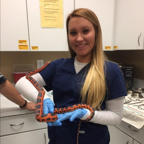 Profile Picture of Cristyn Geballa (@cristyn_geballa) on Poshmark