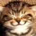 Profile Picture of Aaron Choy (@blasterman333) on Pinterest