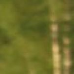 Profile Picture of Michael Sadanwitz (@sadanwitz4004) on Instagram