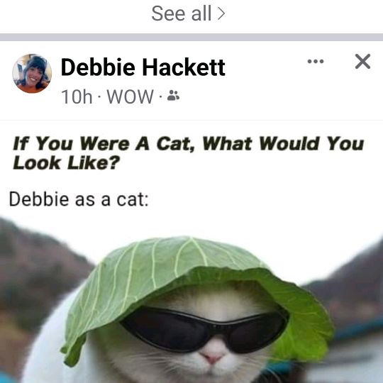 Profile Picture of James Aravanis743 (@jamesaravanis743) on Tiktok