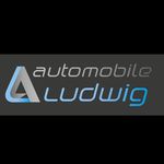 Profile Picture of Robert Ludwig (@automobile.ludwig) on Instagram