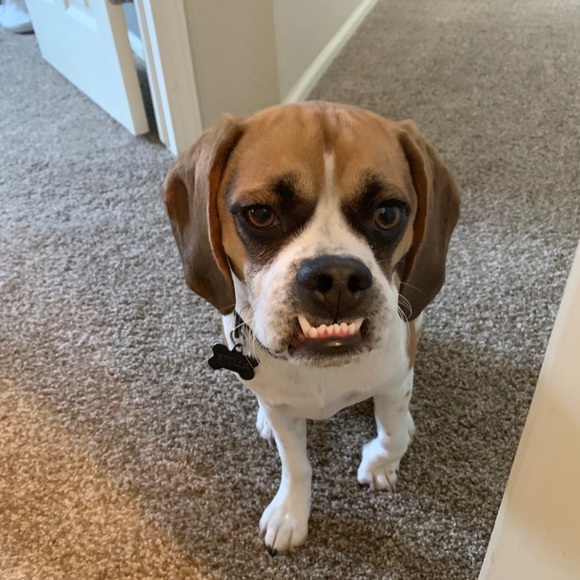 Profile Picture of Ryan Loberger (@rylob4) on Poshmark