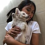 Profile Picture of Lacy (Lazy) Molly Macaraeg (@keilahsdogmolly) on Instagram