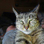 Profile Picture of Daryl Wilson (@daryl.wilson.504) on Instagram