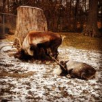 Profile Picture of Greg Chapman (@416greg) on Instagram