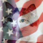 David - Instagram Profile Picture of David (@emptiness_and) on Instagram