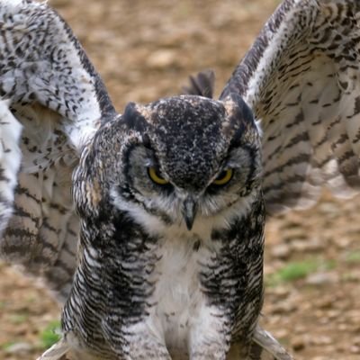 Profile Picture of Cassandra Marks (@CasSea_83) on Twitter