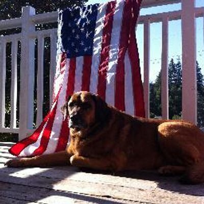 Matt Bornstein - Twitter Profile Picture of Matt Bornstein (@mateoborn) on Twitter