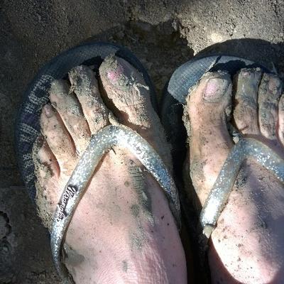 Profile Picture of Kym Webb (@kymwebb17) on Twitter