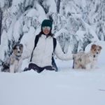 Profile Picture of Andrea Wampler (@dreana83) on Instagram
