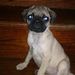 Profile Picture of Crystal S Markley (@csmarkley) on Pinterest