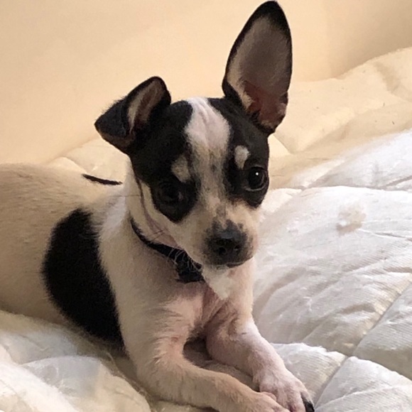 Profile Picture of Ricky Saloom (@sqatch) on Poshmark