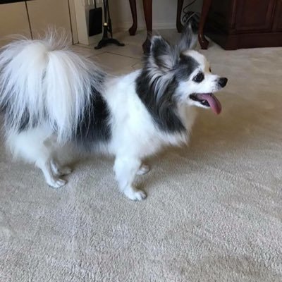 Profile Picture of Keith Manning (@cdog1790) on Twitter