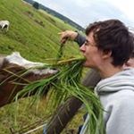 Profile Picture of David Reinštein (@david_reinstein) on Instagram
