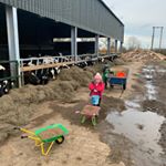 Profile Picture of George Wade (@georgewade1986) on Instagram