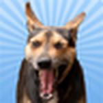 Profile Picture of Javier Uribe (@jiuq) on Flickr