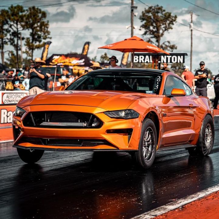 Profile Picture of davidvanvoris (@davidvanvoris) on Tiktok