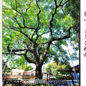 Profile Picture of Crystal Cheng (@crystalcheng5855) on Youtube