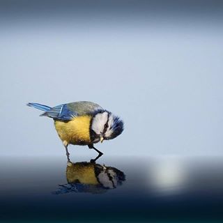 Profile Picture of Carlene Welshman (@carlene.welshman.5) on Facebook