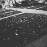 Profile Picture of Jason Gerstmayr (@my_art_page_boi) on Instagram