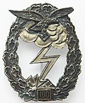 Profile Picture of Ground Assault Badge of the Luftwaffe - Wikipediaon Wikipedia
