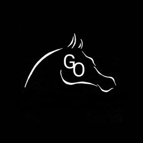 Profile Picture of Gabriel Oliverio (@OliverioGabriel) on Pinterest