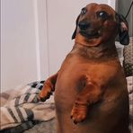 Profile Picture of Kami Scott (@kamila.scott.5891) on Facebook