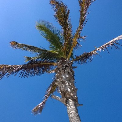 Profile Picture of Michael David Hanson (@Mickey11David) on Twitter