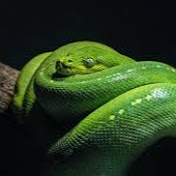 Profile Picture of Mia Richards (@MiaRichards-mf2nt) on Youtube