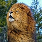 Profile Picture of Ricardo Manzo (@ricardo.manzo.9210) on Instagram