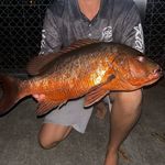 Profile Picture of Tyler vandenberg (@tyler_fishing19) on Instagram