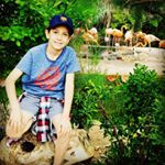 Profile Picture of Tudor David (@tudor_pitigoi) on Instagram