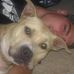 Profile Picture of Jared Davidson (@jared.davidson.16) on Facebook