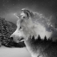 Profile Picture of Corley Cooper (@corley-cooper) on Quora