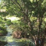 Profile Picture of Parker (@parker_outdoors_dailey) on Instagram